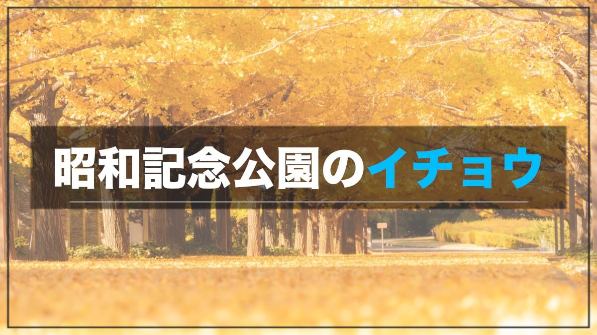 昭和記念公園でイチョウ(銀杏)並木の紅葉写真を開園ダッシュで